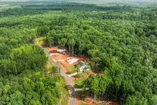 150 Rolling Meadows Way, Waverly Hall, GA 31831 - Photo 4