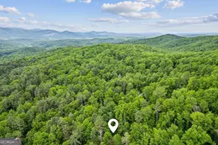 85 Clear Lake Ct, Ellijay, GA 30540 - Photo 40