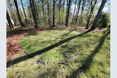 125 Farmington Drive, Peachtree City, GA 30269 - Photo 36