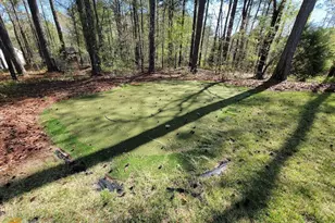 125 Farmington Dr, Peachtree City, GA 30269 - Photo 36