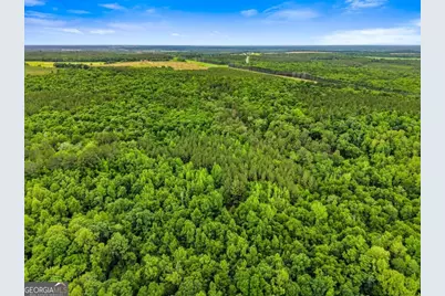 0 River Road, Waynesboro, GA 30830 - Photo 6