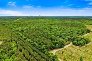 0 River Rd, Waynesboro, GA 30830 - Photo 1