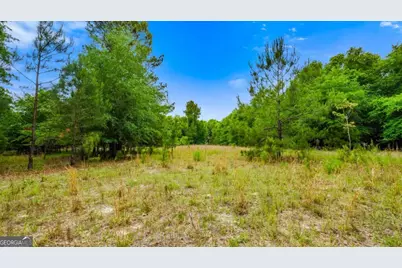 0 River Road, Waynesboro, GA 30830 - Photo 18