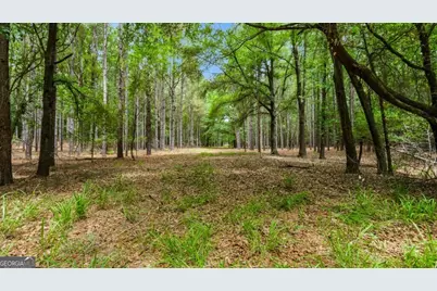 0 River Road, Waynesboro, GA 30830 - Photo 16