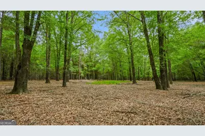 0 River Road, Waynesboro, GA 30830 - Photo 10