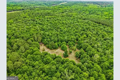 0 River Road, Waynesboro, GA 30830 - Photo 4