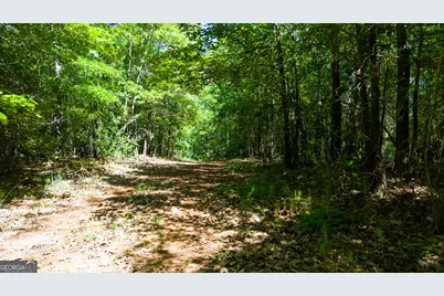 0 Calhoun Falls Hwy, Elberton, GA 30635 - Photo 12