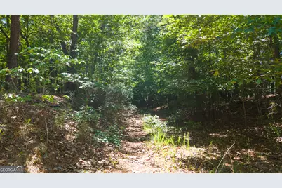 0 Calhoun Falls Hwy, Elberton, GA 30635 - Photo 14