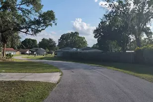 22360 Stillwood Dr, Land O Lakes, FL 34639 - Photo 4