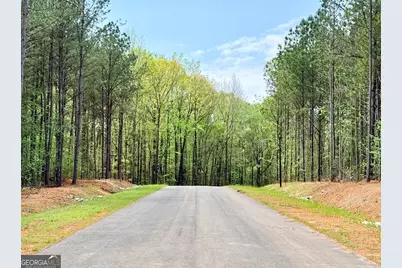 117 Rolling Meadows Way, Waverly Hall, GA 31831 - Photo 4