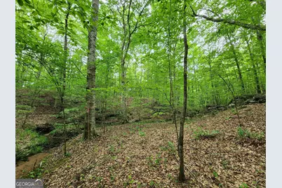 0 Ga 85 Highway, Waverly Hall, GA 31831 - Photo 2
