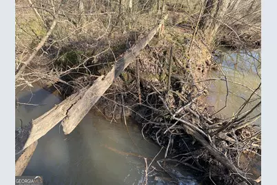 0 Sportsman Club, Hogansville, GA 30230 - Photo 26