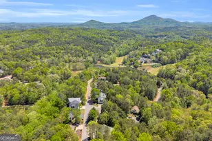 333 Rosen Strasse, Helen, GA 30545 - Photo 60