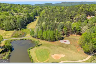 333 Rosen Strasse, Helen, GA 30545 - Photo 8