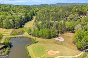 333 Rosen Strasse, Helen, GA 30545 - Photo 8