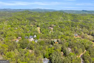 333 Rosen Strasse, Helen, GA 30545 - Photo 62