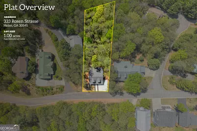 333 Rosen Strasse, Helen, GA 30545 - Photo 54