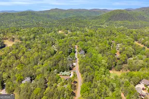 333 Rosen Strasse, Helen, GA 30545 - Photo 64