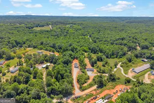 226 Mineral Springs Conn, Demorest, GA 30535 - Photo 44