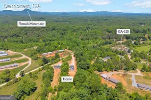226 Mineral Springs Conn, Demorest, GA 30535 - Photo 50
