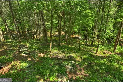 Lot 90R Mountain Creek Hollow Drive, Talking Rock, GA 30175 - Photo 12