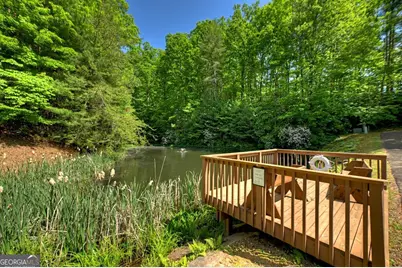 Lot 90R Mountain Creek Hollow Drive, Talking Rock, GA 30175 - Photo 16