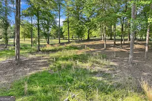 4703 Mt Vernon Rd, Gainesville, GA 30501 - Photo 66