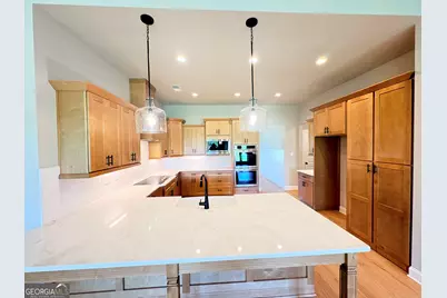 49 Amling Court #LOT 95, Senoia, GA 30276 - Photo 10