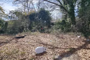 19 Landers St, Newnan, GA 30263 - Photo 38