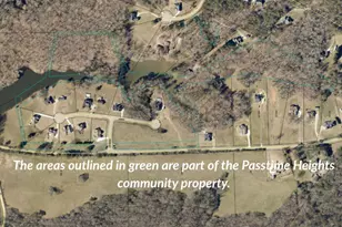 400 Pitts Chapel Rd, Newborn, GA 30056 - Photo 38