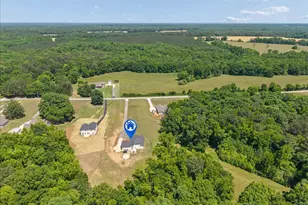 400 Pitts Chapel Rd, Newborn, GA 30056 - Photo 28