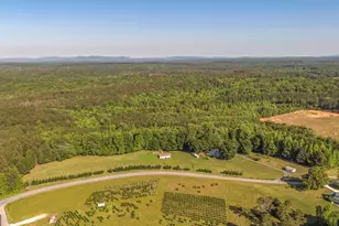 2774 Steadman Rd, Tallapoosa, GA 30176 - Photo 38