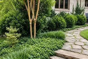 2469 Circlewood Rd NE, Atlanta, GA 30345 - Photo 2