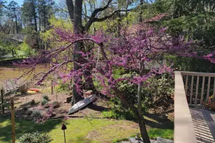 2469 Circlewood Rd NE, Atlanta, GA 30345 - Photo 2