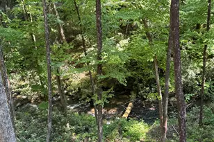 122 Laurel Creek Trail, Blue Ridge, GA 30513 - Photo 10