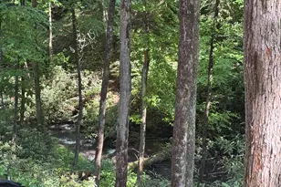 122 Laurel Creek Trail, Blue Ridge, GA 30513 - Photo 6