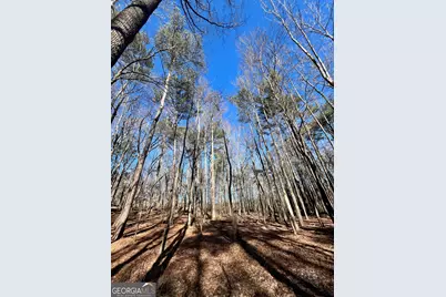 0 Kansas-Jake Road, Waco, GA 30182 - Photo 24