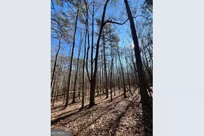 0 Kansas-Jake Road, Waco, GA 30182 - Photo 18