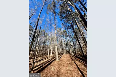 0 Kansas-Jake Road, Waco, GA 30182 - Photo 26