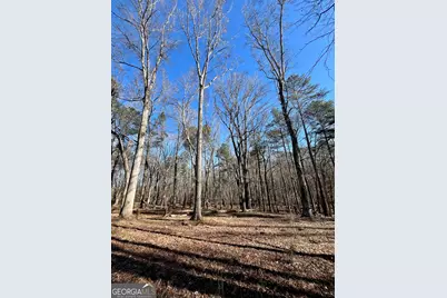 0 Kansas-Jake Road, Waco, GA 30182 - Photo 14