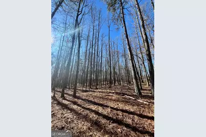0 Kansas-Jake Road, Waco, GA 30182 - Photo 34