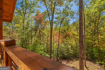 100 Crystal Oliver Lane, Blue Ridge, GA 30513 - Photo 24