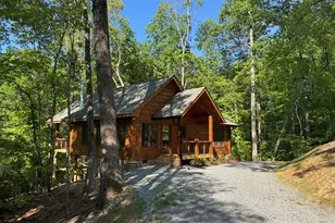 100 Crystal Oliver Ln, Blue Ridge, GA 30513 - Photo 48