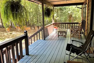 1704 Newport Dr, Ellijay, GA 30540 - Photo 2
