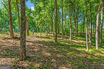 Lot 98 Winding Ridge, Blairsville, GA 30512 - Photo 4