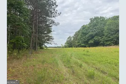10661 Ga Highway 15, Warthen, GA 31094 - Photo 22