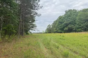10661 Ga Hwy 15, Warthen, GA 31094 - Photo 22