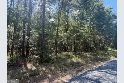 0 Appian Way, Baconton, GA 31716 - Photo 4