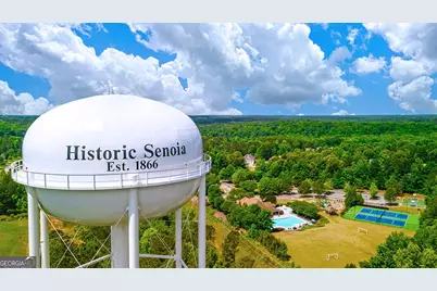 260 Savannah Drive, Senoia, GA 30276 - Photo 64