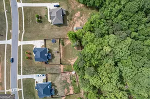 78 Winifred Wy, Senoia, GA 30276 - Photo 52